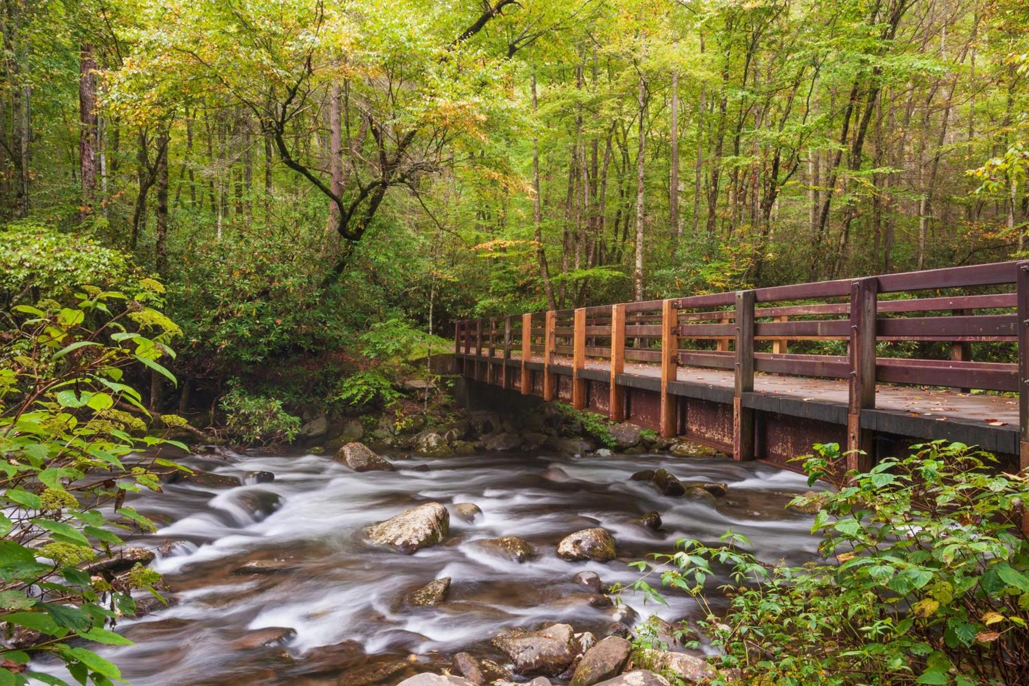 Mountain Eden, Hot Tub, Resort Pool, Wifi, 1089 Free Tickets Each Paid Day, Dollywood And More جاتلينبرج المظهر الخارجي الصورة