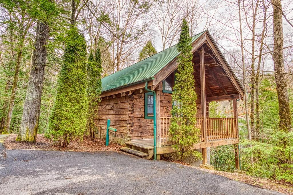 Mountain Eden, Hot Tub, Resort Pool, Wifi, 1089 Free Tickets Each Paid Day, Dollywood And More جاتلينبرج المظهر الخارجي الصورة